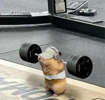 guido0000