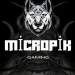 micropic