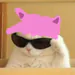 J4l1anSN24