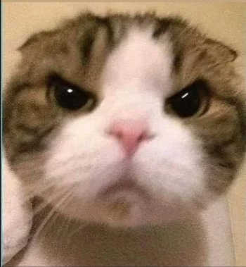 Cemoshki Profile Picture