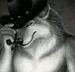 gispy1