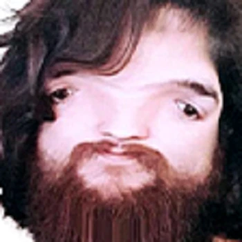 bogytv