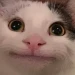 KitarinK