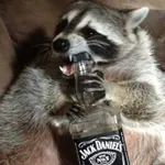 vox-katt's avatar