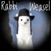 rabbiweasel
