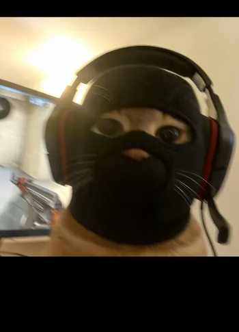 chicofps