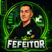 FeFeiToR