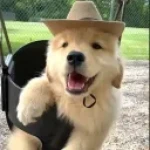 kphobia's avatar