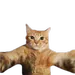 Silentprotv