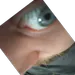 bolzakmartyn