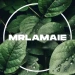 MrLamaie