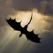 LinXummy