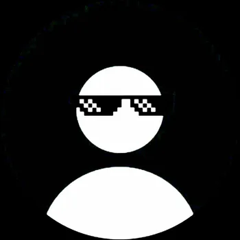 RAYEN495
