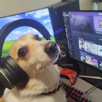 Nanchit0o