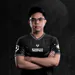 grimzdota