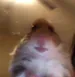 TheEijjjN