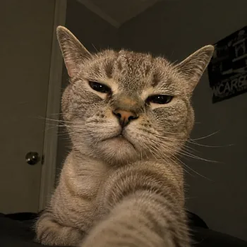 DasbabuHere