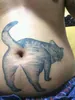 GordoBachicha666