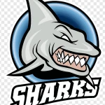 shark2two avatar