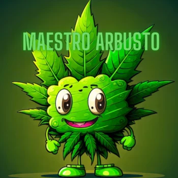 arbustomimoso02
