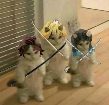 abo7amadd