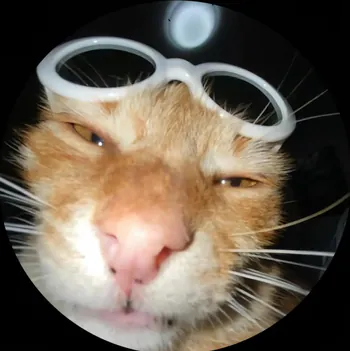 Snchokick
