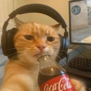 benjsaaa
