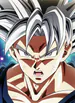 SRTGoku
