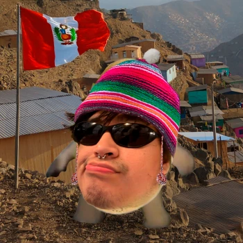 Kick Profile Pic