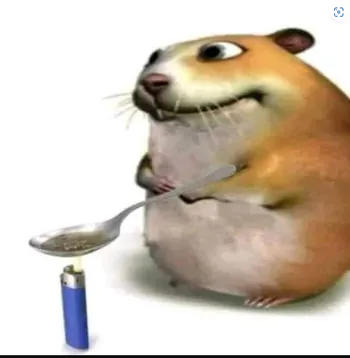 sambusahf555