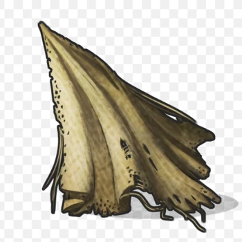 CLOTH38