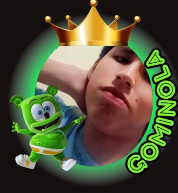 GOMINOLA_19