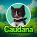 caudana