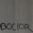 bocior