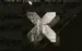 xLive1