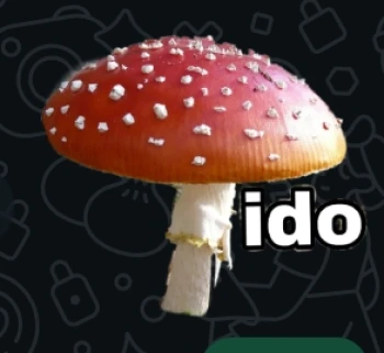 Dalkii