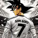 GOKU_X_DBZ