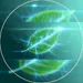 energyleaf avatar