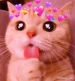 MishiBomboncito