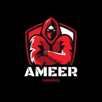 Ameer12334