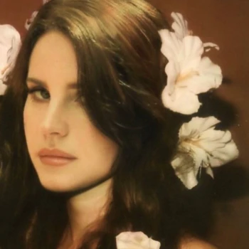 BornToDie386