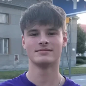 d1zziss