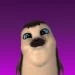MusuWayne