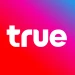 TRUE232