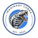 ImaginaryCobra