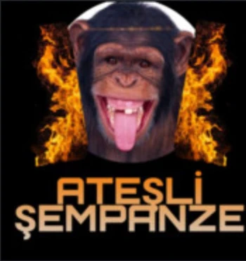 AtesliSempanze