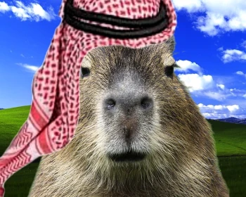 ArabCapyBara Stream - Watch Live on Kick