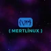 MertLinux
