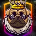 bedolq Profile Picture