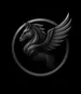 ssassupegasus